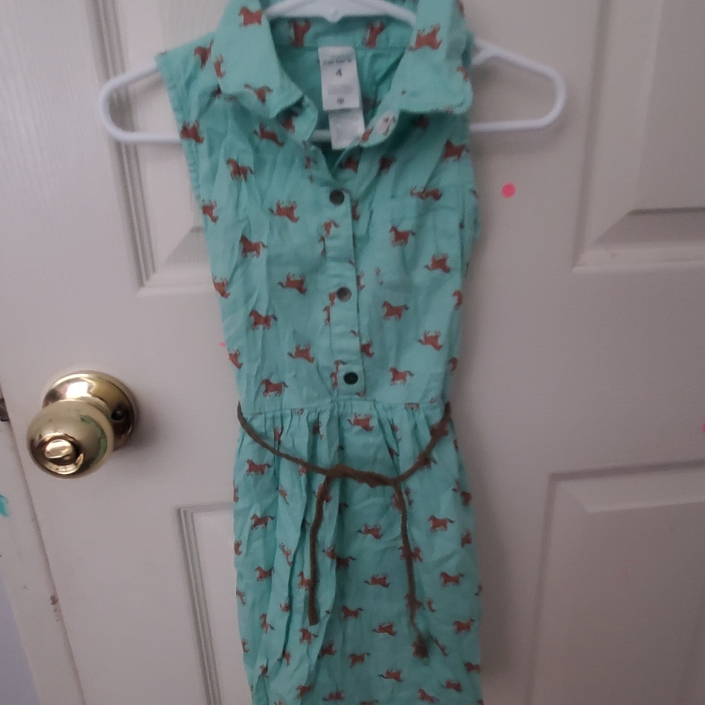 Carters teal dress